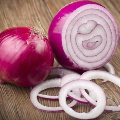 #ad Red Creole Onion Seeds 200 20000 Seeds Non GMO Free Shipping 1070 $28.29