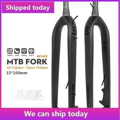 #ad TOSEEK MTB Full Carbon Rigid Fork Thru Axle 15*100mm Vertebra Tube 27.5 29quot; $149.99