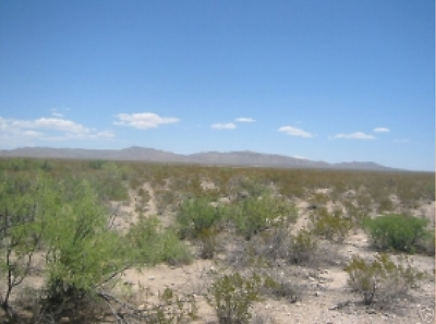 #ad 10.5 AC PROPERTY IN BEAUTIFUL WEST TX IN FINLAY ESTATES SUB GPS POINTS AND MAPS. $2199.00