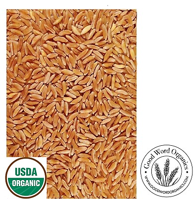 #ad Good Word Organics Organic KAMUT Khorasan Non GMO Bulk Food Wheat Grain $19.99
