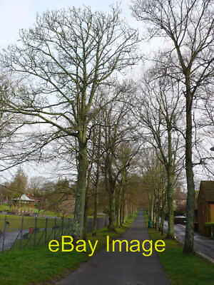 #ad Photo 6x4 West Walks Dorchester Dorchester SY6890 The avenue of west wal c2008 GBP 2.00