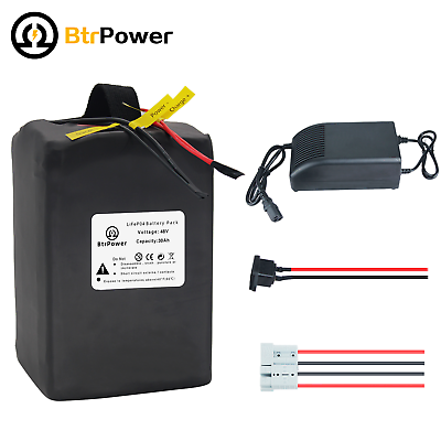 #ad 48V 30Ah Lithium Lifepo4 Battery Pack for EBike Scooter 1000W Motor 5A Charger $439.99