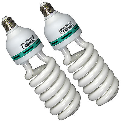 #ad 2x 85W 5500K Fluorescent Photo Studio Energy Saving Day Light Bulbs Compact Lamp $22.95