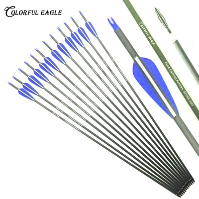 #ad Archery Carbon Arrows 3#x27;#x27; Vanes SP300 400 Outdoor Recurve Bow Shooting Hunting $19.86