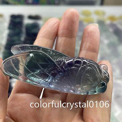 #ad 2.5quot; Natural Fluorite Quartz Hand Carved Crystal cicada Reiki Decoration.1pc $28.71