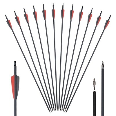20 pcs 31quot; Fiberglass Arrows Hunting Archery Target Arrows Recurve Bow Longbow $26.96