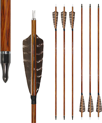 #ad Hunting Carbon Arrows 400 Spine with Feathers Fletching and Target Tips for Comp $66.99
