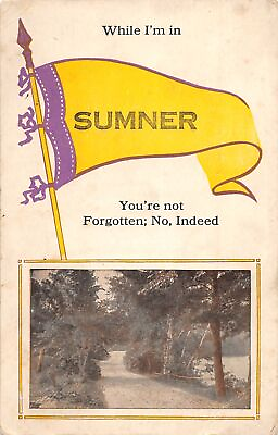 #ad J35 Sumner Ohio Pennant Postcard c1910 Meigs County Pomeroy 79 $9.20