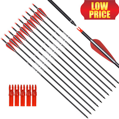 30Inch 12PCS Carbon Arrow Practice Hunting Arrows with100 Grain Removable Tips $33.83