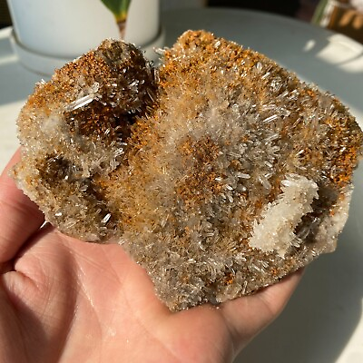 #ad 1.21LB Natural Yellow Crystal Cluster Rare Beautiful QUARTZ Mineral Specimen N01 $49.90