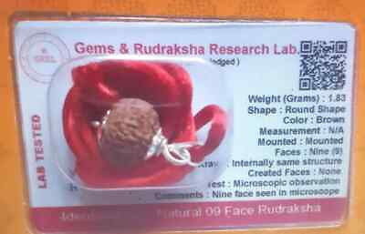 #ad 9 Mukhi Rudraksha Nine Face Rudraksh Nepal Bead Lab Certified $59.40