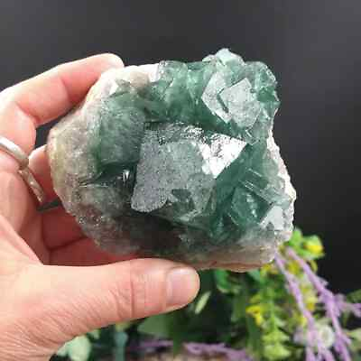 #ad Natural Green Fluorite Raw Rough Quartz Cluster Specimens Reiki Healing Mineral $19.50