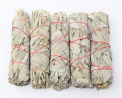 #ad White Sage Smudge Bundles 5 Pack Bulk Lot Directions 4quot; White Sage Sticks $10.90