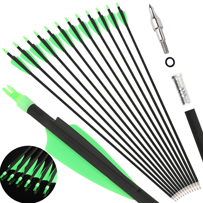 #ad 30quot; Carbon Arrows SP500 3quot; Vanes Feathers Archery Bow Hunting Target Shooting $22.99