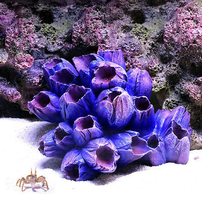 #ad Resin Artificial Shell Coral Reef Aquarium Ornaments Landscaping Fish Tank Decor $10.98