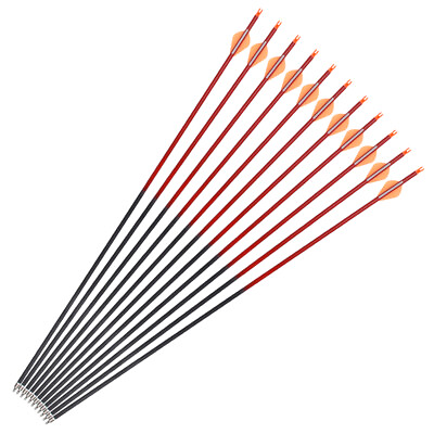 Mixed Carbon Arrow 30quot; Archery Targeting Hunting Practice Arrows Power Shooting $52.63