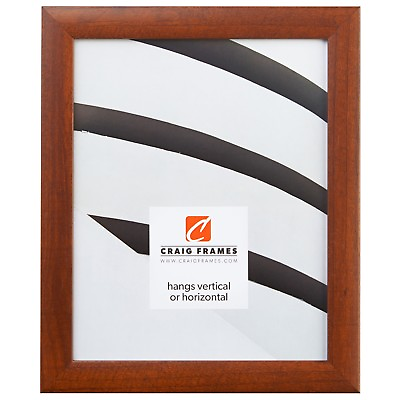 #ad Craig Frames Contemporary Honey Brown Picture Frame Custom Sizes $53.99