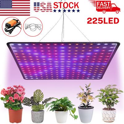 #ad 8500W LED Grow Light Panel Full Spectrum Lamp for Indoor Plant Veg Flower US $28.93