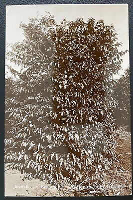 #ad 1924 Brazil RPPC Postcard cover to Zug Switzerland Coffee Tree $68.00
