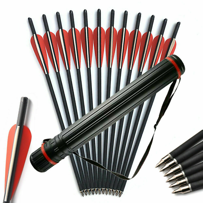 12Pcs 20 inch Hunting Archery Carbon Arrow Crossbow Bolts W Replaced Arrowheads $29.98