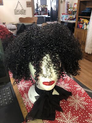 #ad Riah High Quality Synthetic Wig A Tight Jerry Curl . See Photo’s $22.99