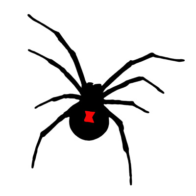 Spider Sticker Black Widow Spider Decal Halloween $4.70
