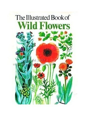 #ad The Illustrated Book of Wild Flowers by Gregory Mary Hardback Book The Fast $8.67