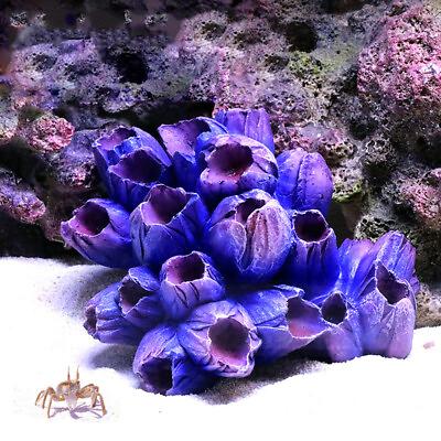 #ad Artificial Resin Shell Coral Reef Aquarium Ornaments Landscaping Fish Tank Decor $9.02