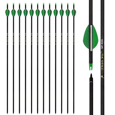 29 Inch Carbon Arrow Practice Hunting Arrows Spine 400 with Removable Tips fo... $46.20