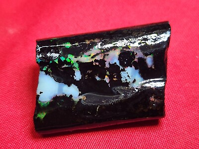 #ad 6955 Ct Wood Opal From Indonesia Rare Item 35*25*10 Mm $100.00