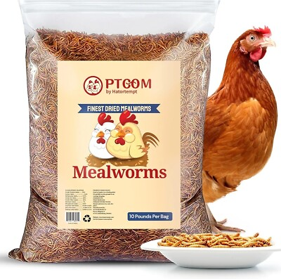 #ad 10lbs Bulk Dried Mealworms Premium Non GMO Organic Chicken Feed Nutritious... $59.99