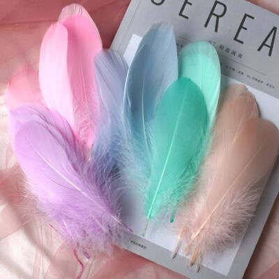 #ad Colored Party Crafts Feathers DIY Craft Home Clothes Decorations Goose Feather $6.67