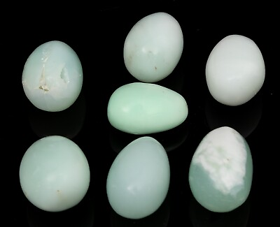 #ad 7x Green CHRYSOPRASE polished tumbled stone 5.5 healing chakra crystal #7046T $27.00
