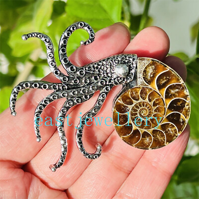 #ad Natural Ammonite Fossil Conch Specimen Reiki Healing Brooch 1PC $12.19