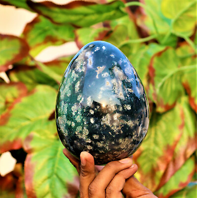 #ad Large 145MM Natural Green Ocean Jasper Stone Minerals Metaphysical Egg $375.00