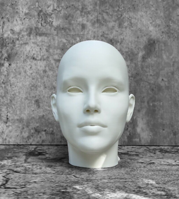 #ad Human Head 7quot; 18cm Human Bust Learn the Planes of the Head Ships in 24 hours $29.95