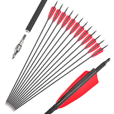 30quot; Archery Carbon Arrows SP500 Feathers Recurve Compound Bow Hunting Target $24.43