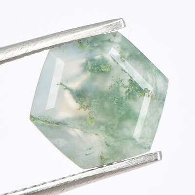 #ad 100% Natural Tree Moss Agate Hexagon 8x8mm Cut Loose Gemstone Jewelry Making $11.99