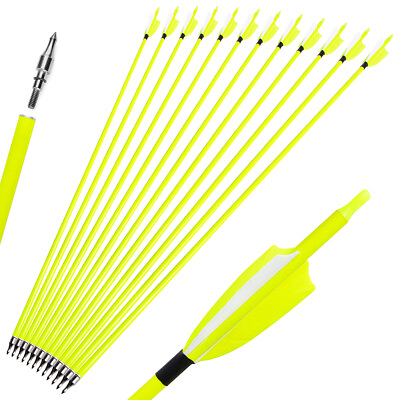 6 12 Archery Carbon Arrows 30quot; SP500 Feathers Tips Recurve Compound Bow Hunting $23.74
