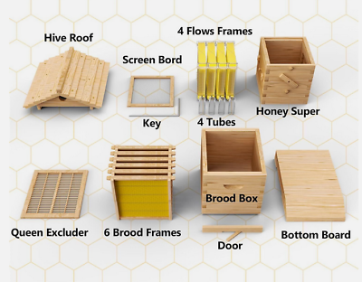 #ad Starter Kit MIni Bee Box Self Flowing Honey Design Beehive Hive Box amp;10 X Frames $159.99
