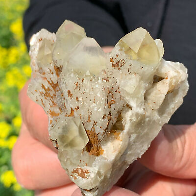 #ad 115g A Natural Yellow Crystal Himalayan Quartz Cluster Mineral Specimen $30.00