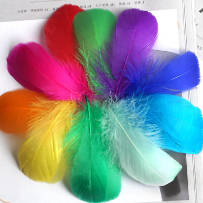 #ad 100PCS DIY Multicolour Feather Filled With Decorative Materials Crafts Feather $0.99