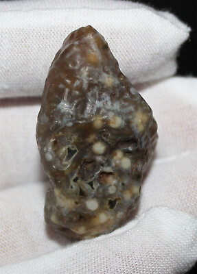 #ad 19.1g Rare Mongolia Gobi Gangue Vein stone Agate Rough Minerals Specimen 81191 $14.25