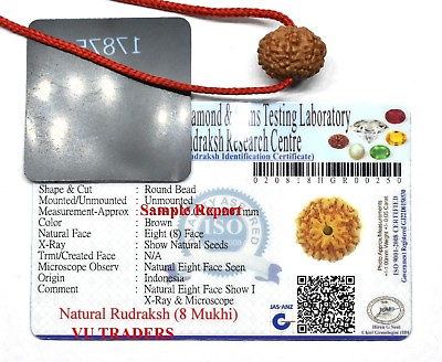 #ad 8 Mukhi rudraksha Eight Face Rudraksh Java Bead Lab Certified Size 14 16 MM $9.90