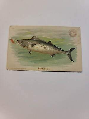 #ad Vintage Antique Arm amp; Hammer Bonito Fish Card #26 1900 Church amp; Co New York $9.95