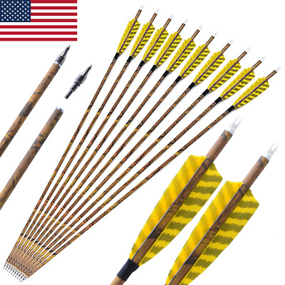 #ad #ad 12X Carbon Arrows 30quot; SP500 Feathers Tips Compound Recurve Bow Hunting Target $49.81