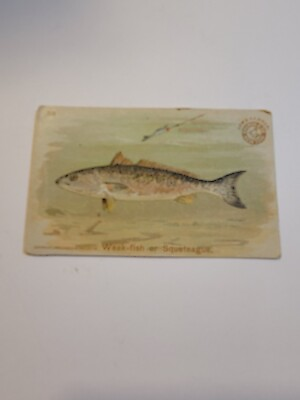 #ad Vintage Antique Arm amp; Hammer Weak Fish Or Squeteague Card #25 1900 Church amp;Co  $9.95
