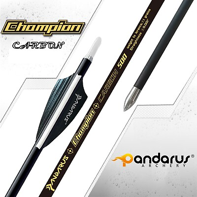 #ad 12X Pure Carbon Arrows .001quot; SP400 1600 ID4.2 Archery Bow Target Sports PANDARUS $73.46
