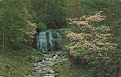 #ad Postcard Meigs Creek Falls $4.99