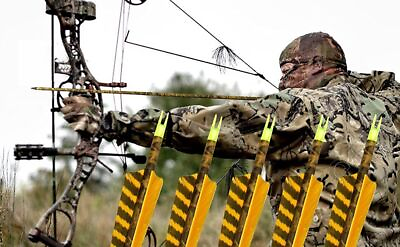 12PCS Hunting 31quot;Camouflage Carbon Arrows Archery Compound Bow Arrow 300 Spine $42.99